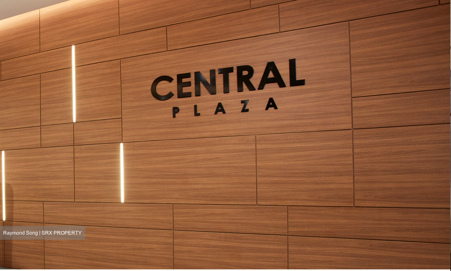 Central Plaza (D3), Office #509895591